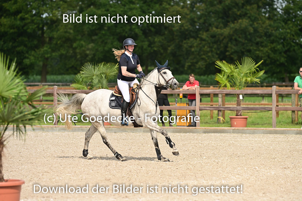 Klein Offenseth  - Hengststation Hell | 26072025 A Springen _048 