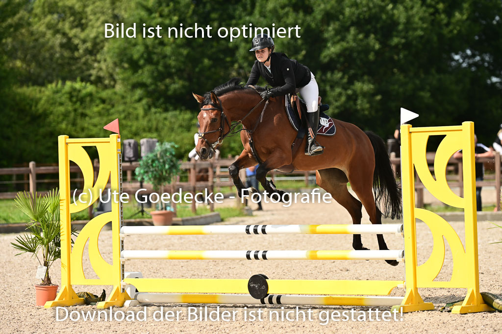 Klein Offenseth  - Hengststation Hell | 26072025 A Springen _053 