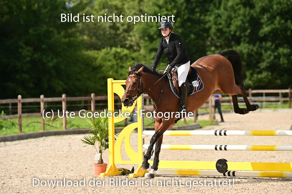Klein Offenseth - Hengststation Hell | 26072025 A Springen _054