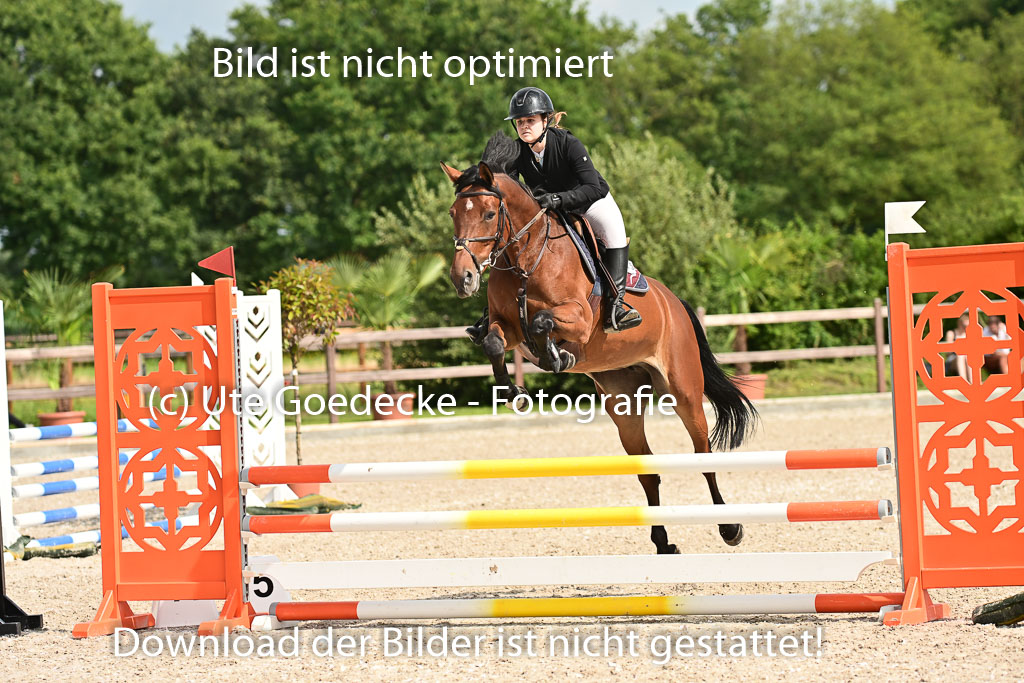 Klein Offenseth  - Hengststation Hell | 26072025 A Springen _056 
