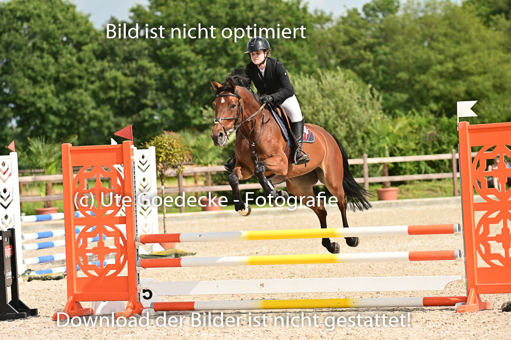 Klein Offenseth  - Hengststation Hell | 26072025 A Springen _057 