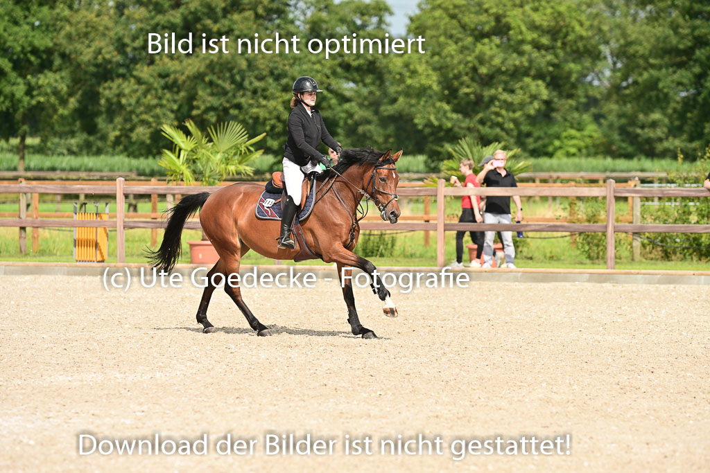 Klein Offenseth  - Hengststation Hell | 26072025 A Springen _060 