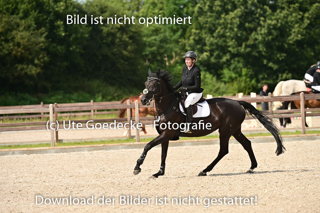 Klein Offenseth  - Hengststation Hell | 26072025 A Springen _065 