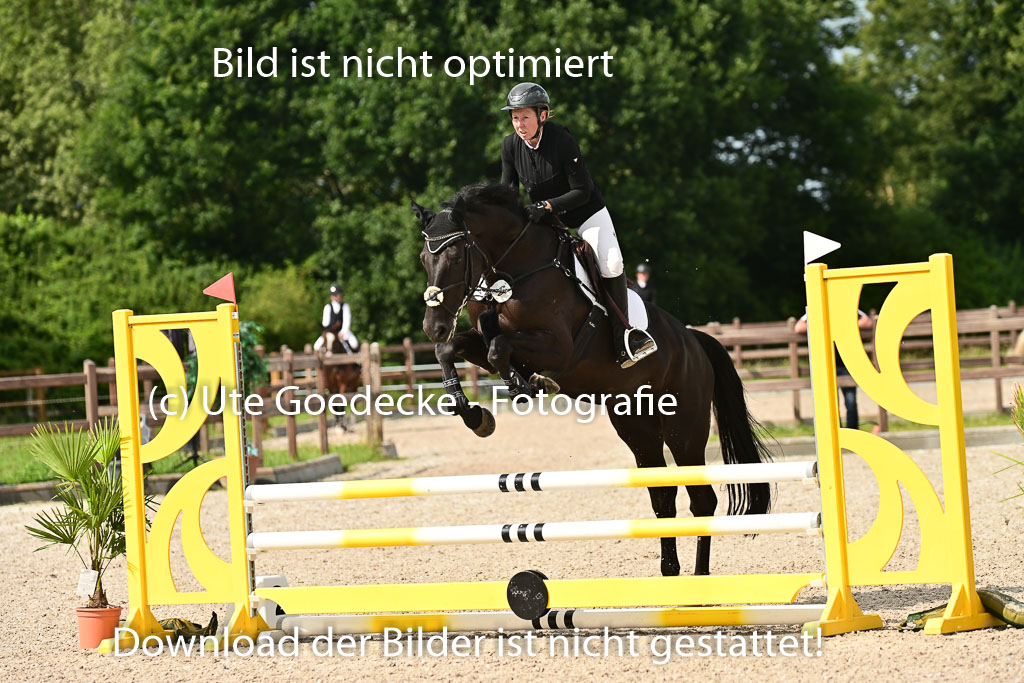 Klein Offenseth - Hengststation Hell | 26072025 A Springen _066