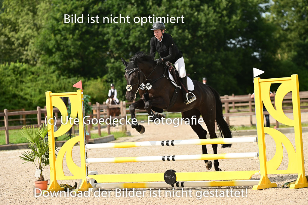 Klein Offenseth  - Hengststation Hell | 26072025 A Springen _067 