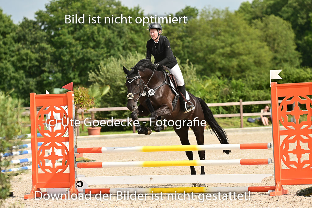 Klein Offenseth  - Hengststation Hell | 26072025 A Springen _068 