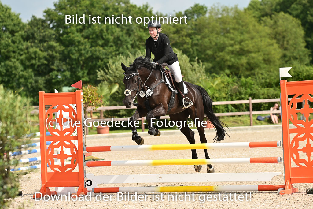 Klein Offenseth  - Hengststation Hell | 26072025 A Springen _069 