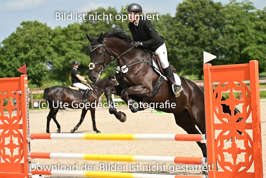 Klein Offenseth  - Hengststation Hell | 26072025 A Springen _070 