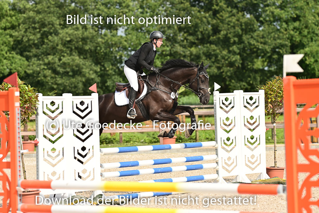Klein Offenseth  - Hengststation Hell | 26072025 A Springen _073 