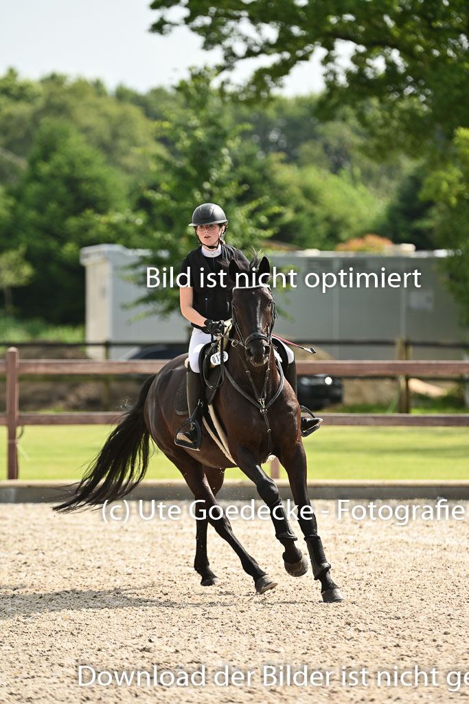 Klein Offenseth  - Hengststation Hell | 26072025 A Springen _077 