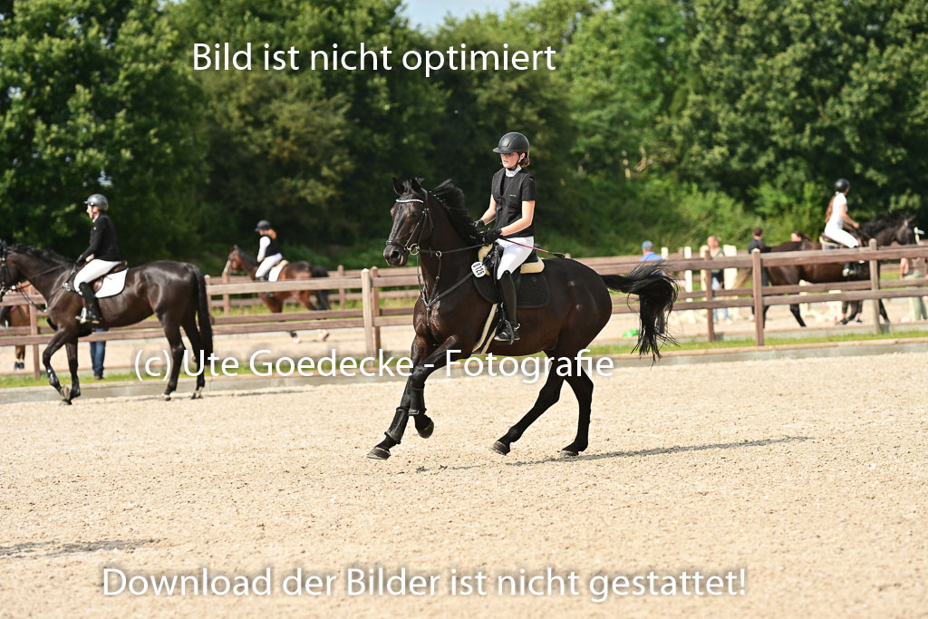Klein Offenseth  - Hengststation Hell | 26072025 A Springen _080 