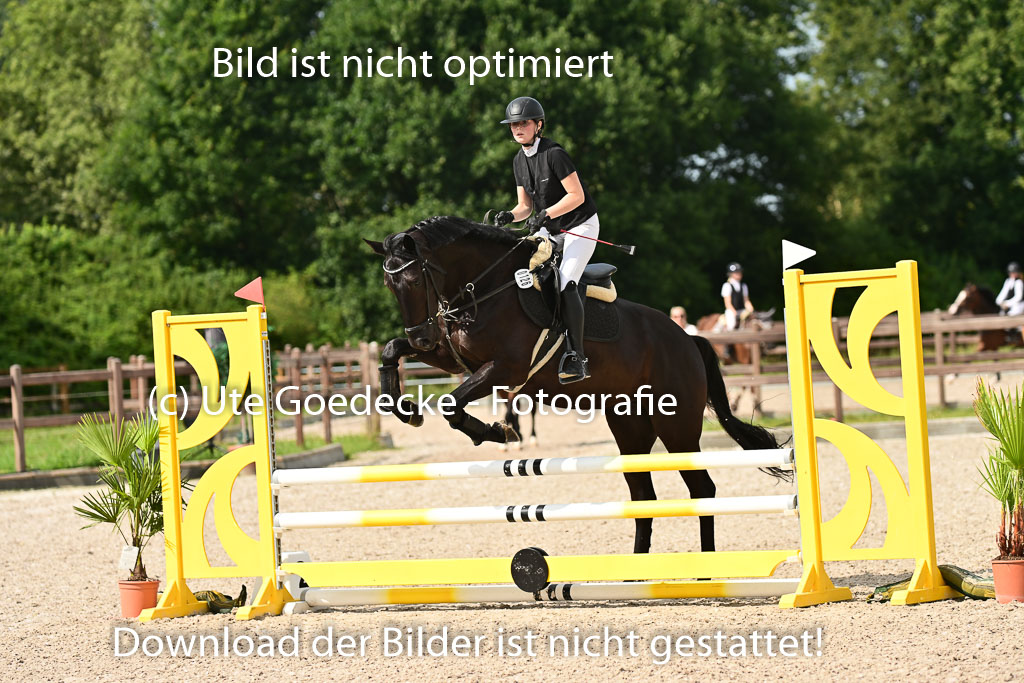 Klein Offenseth  - Hengststation Hell | 26072025 A Springen _081 