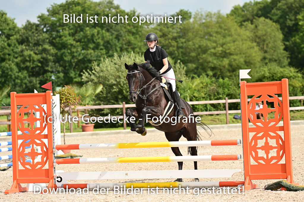 Klein Offenseth  - Hengststation Hell | 26072025 A Springen _082 
