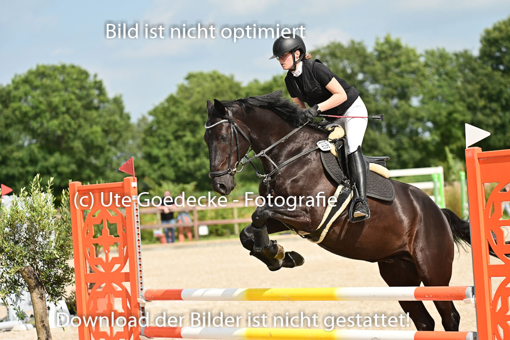 Klein Offenseth  - Hengststation Hell | 26072025 A Springen _084 
