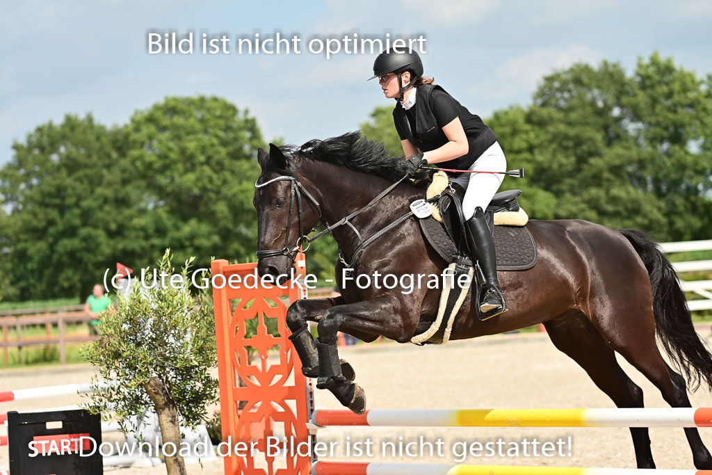 Klein Offenseth  - Hengststation Hell | 26072025 A Springen _085 
