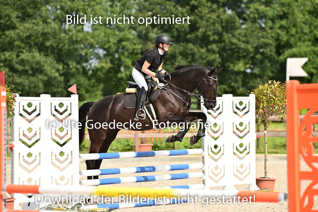 Klein Offenseth  - Hengststation Hell | 26072025 A Springen _086 
