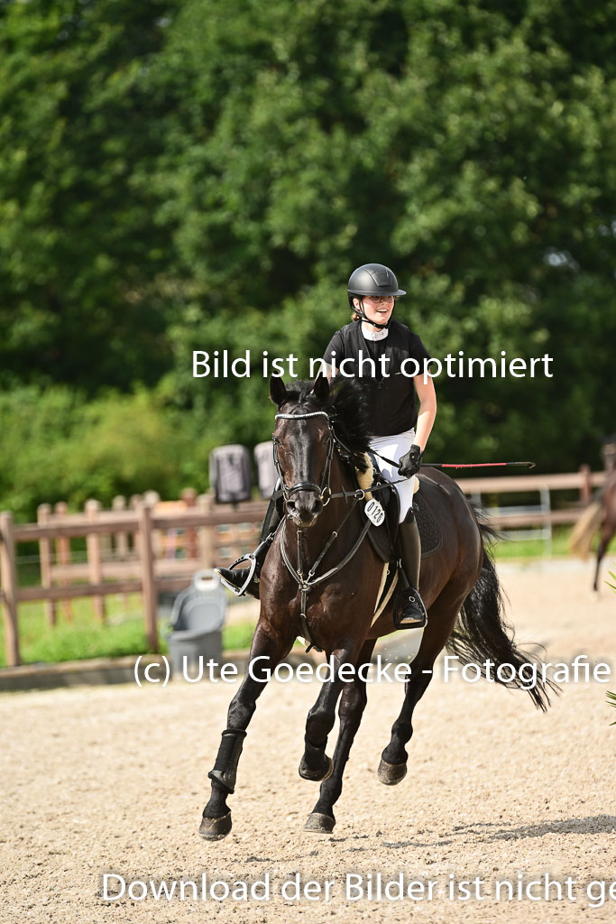 Klein Offenseth  - Hengststation Hell | 26072025 A Springen _087 