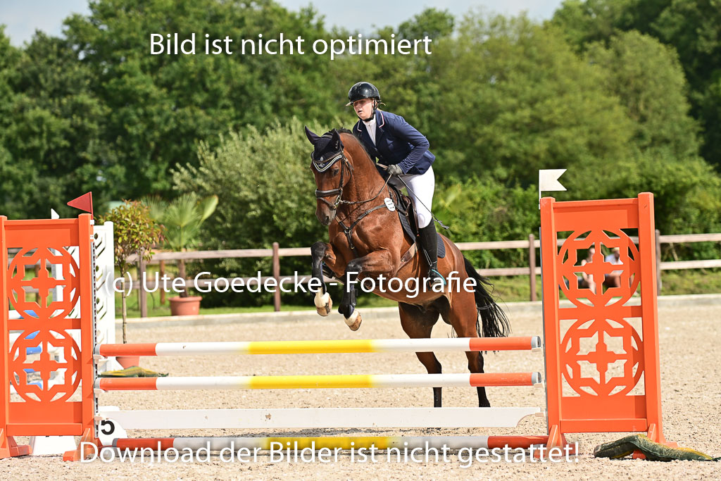 Klein Offenseth  - Hengststation Hell | 26072025 A Springen _094 
