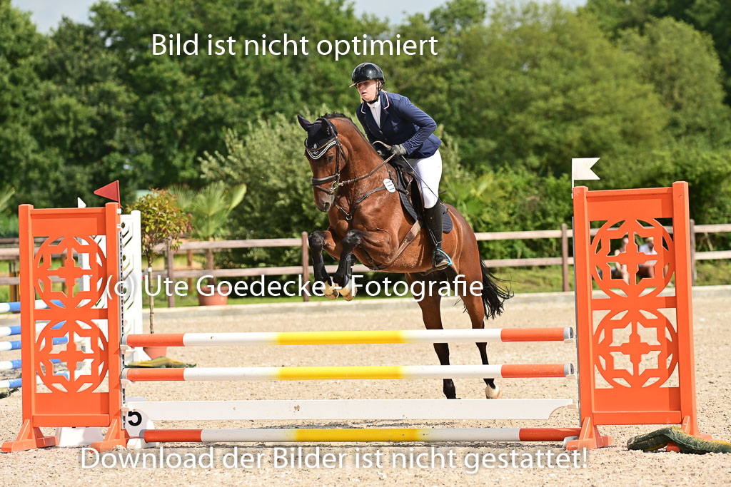 Klein Offenseth  - Hengststation Hell | 26072025 A Springen _095 