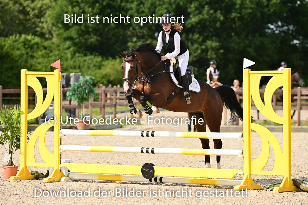 Klein Offenseth - Hengststation Hell | 26072025 A Springen _103