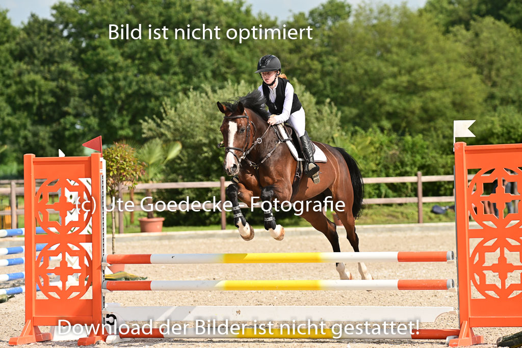 Klein Offenseth - Hengststation Hell | 26072025 A Springen _106