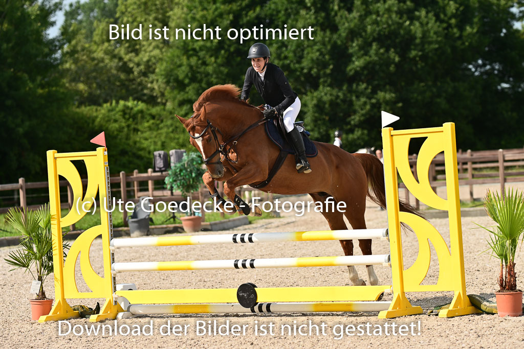 Klein Offenseth  - Hengststation Hell | 26072025 A Springen _109 