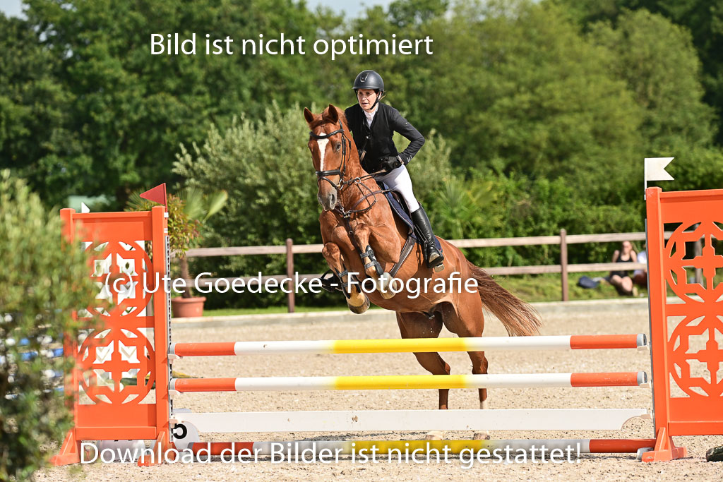 Klein Offenseth  - Hengststation Hell | 26072025 A Springen _110 