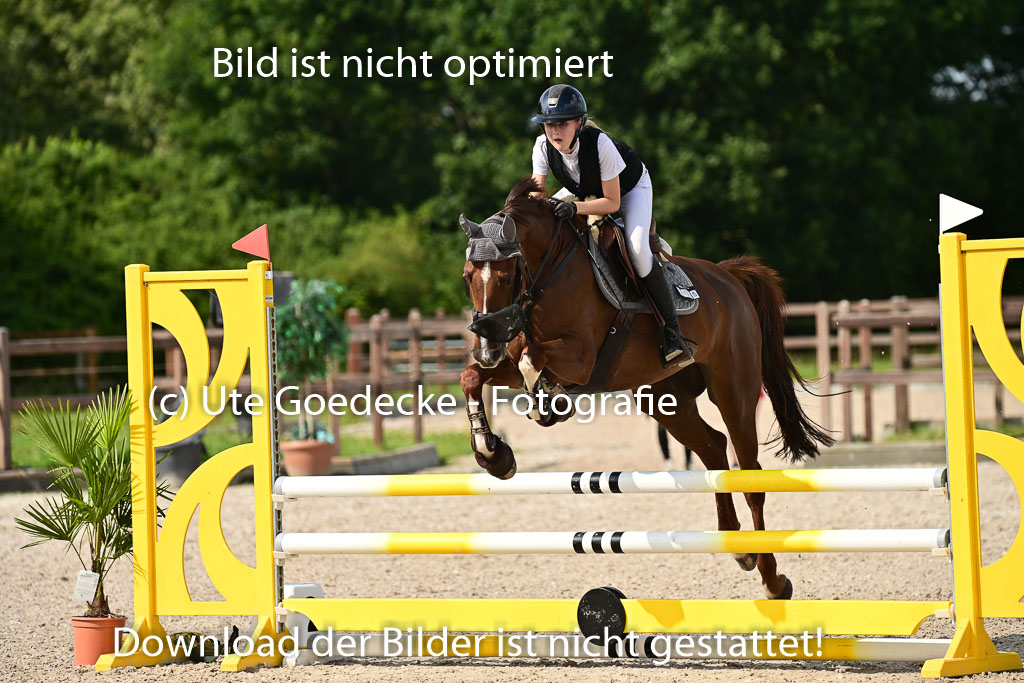Klein Offenseth  - Hengststation Hell | 26072025 A Springen _114 