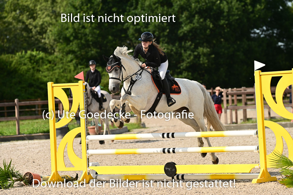 Klein Offenseth - Hengststation Hell | 26072025 A Springen _122