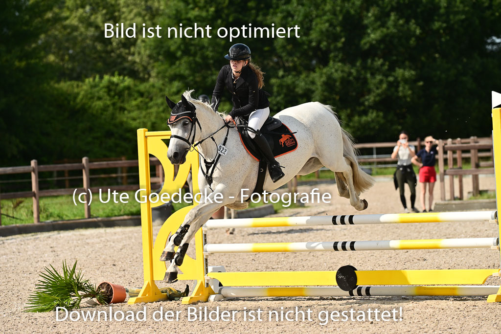 Klein Offenseth  - Hengststation Hell | 26072025 A Springen _123 