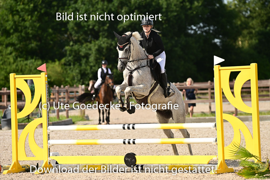 Klein Offenseth - Hengststation Hell | 26072025 A Springen _132