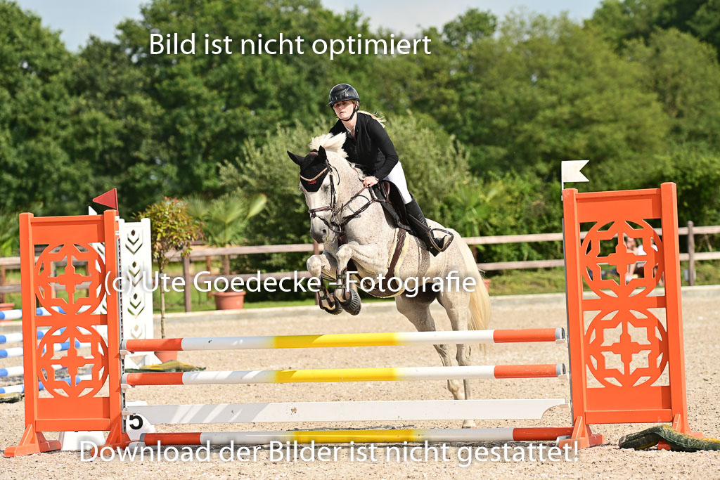 Klein Offenseth  - Hengststation Hell | 26072025 A Springen _133 