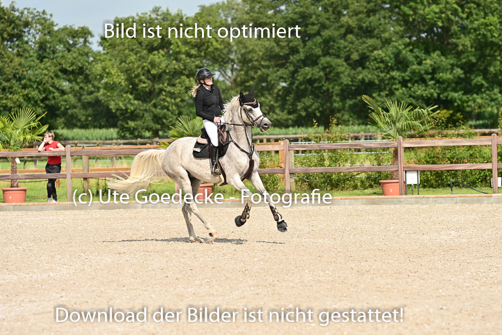 Klein Offenseth  - Hengststation Hell | 26072025 A Springen _135 