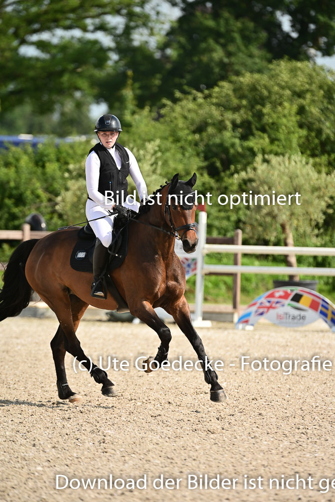 Klein Offenseth  - Hengststation Hell | 26072025 A Springen _139 