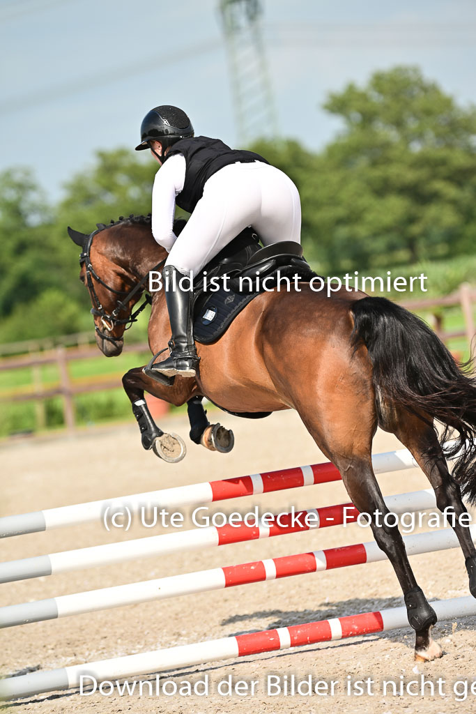 Klein Offenseth  - Hengststation Hell | 26072025 A Springen _141 