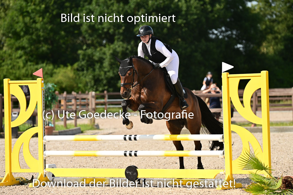 Klein Offenseth  - Hengststation Hell | 26072025 A Springen _142 