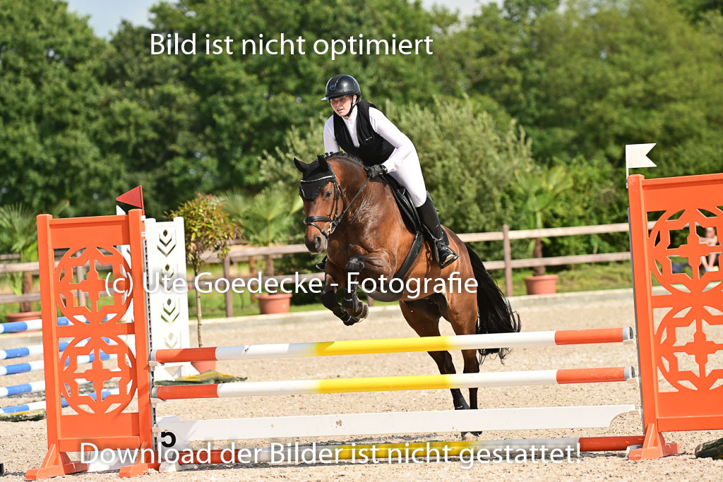 Klein Offenseth  - Hengststation Hell | 26072025 A Springen _144 