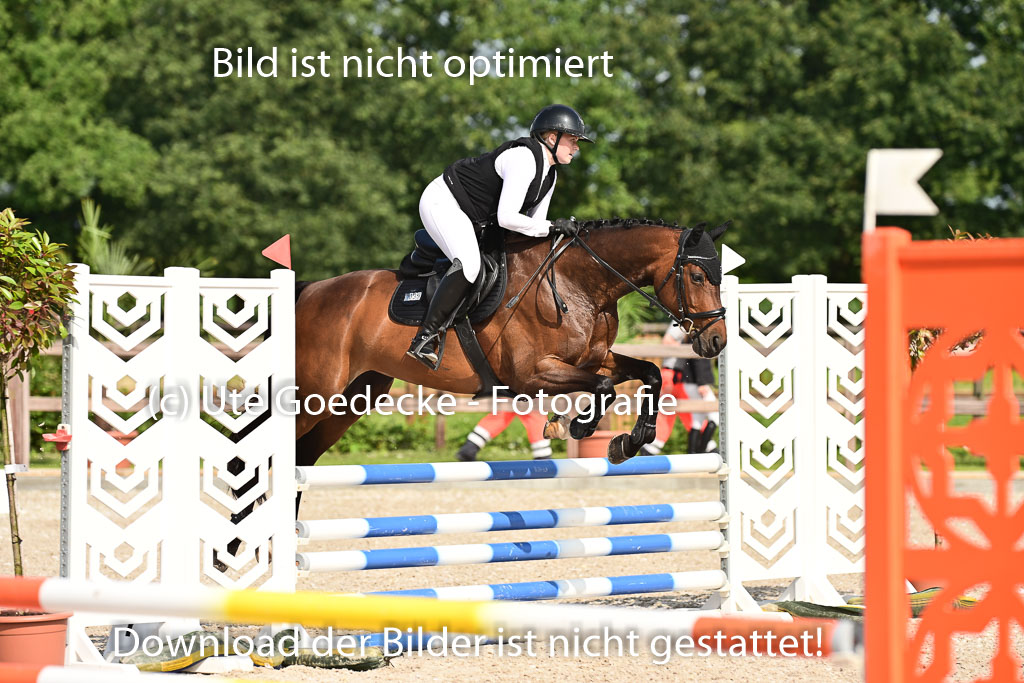 Klein Offenseth - Hengststation Hell | 26072025 A Springen _148