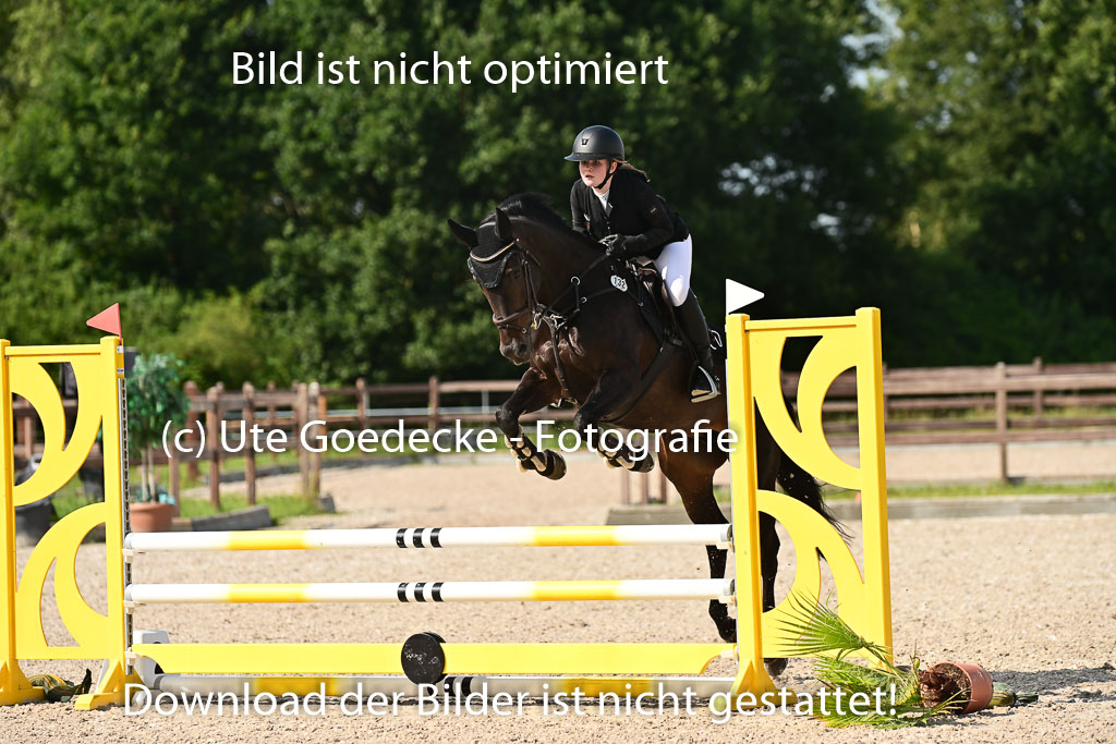 Klein Offenseth  - Hengststation Hell | 26072025 A Springen _152 