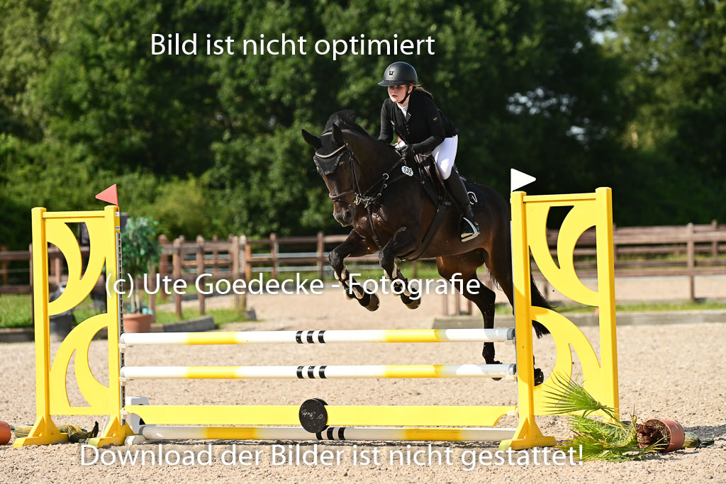 Klein Offenseth - Hengststation Hell | 26072025 A Springen _153
