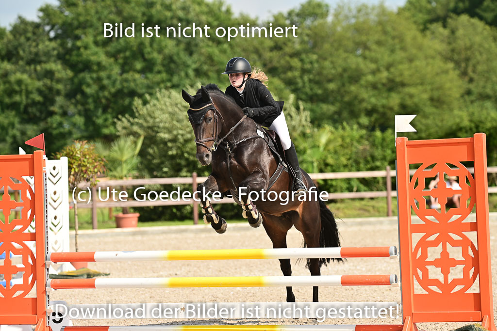 Klein Offenseth - Hengststation Hell | 26072025 A Springen _154