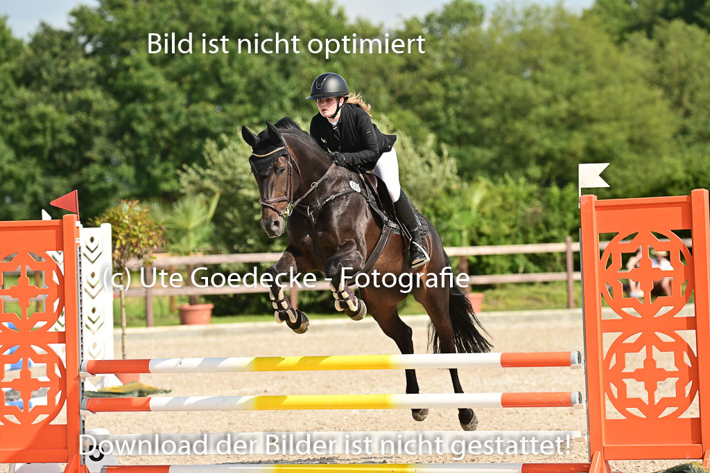 Klein Offenseth  - Hengststation Hell | 26072025 A Springen _155 