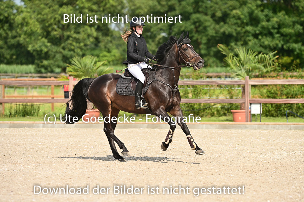 Klein Offenseth  - Hengststation Hell | 26072025 A Springen _157 