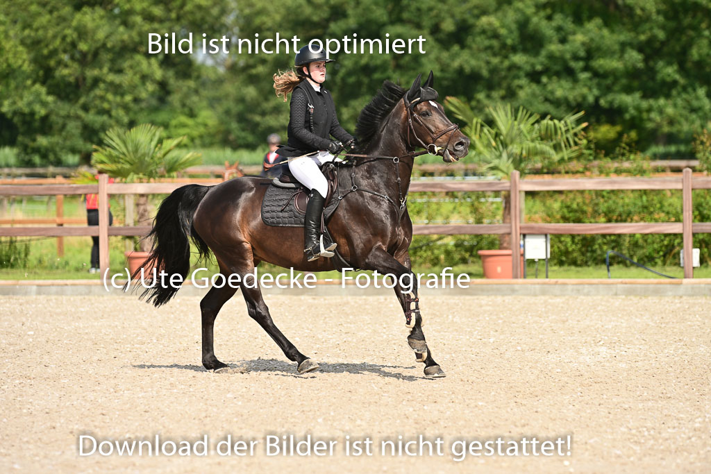 Klein Offenseth  - Hengststation Hell | 26072025 A Springen _158 
