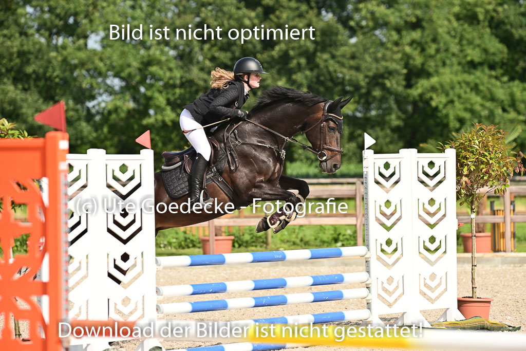 Klein Offenseth - Hengststation Hell | 26072025 A Springen _159