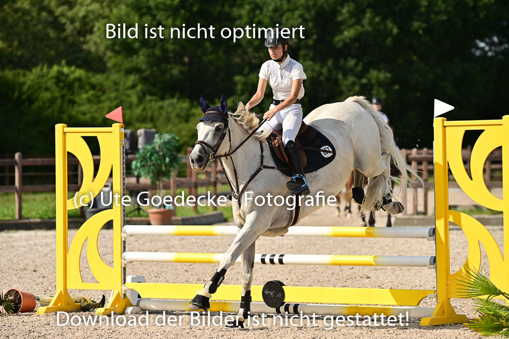 Klein Offenseth - Hengststation Hell | 26072025 A Springen _165