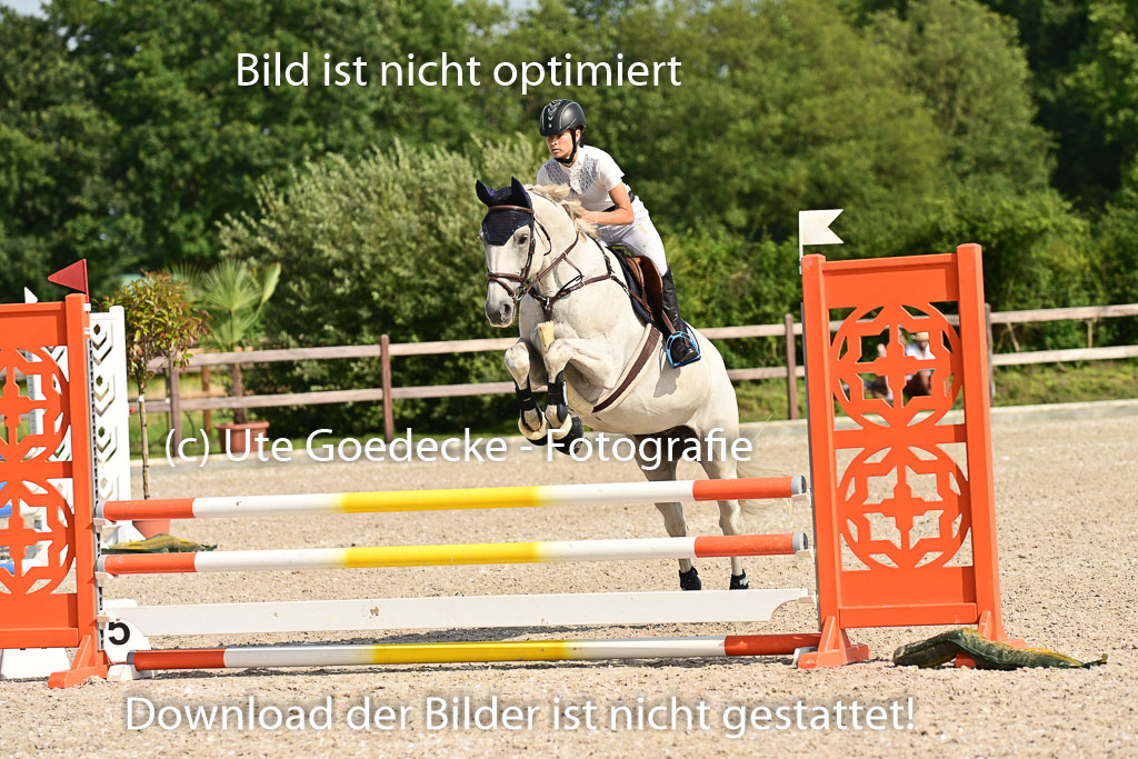 Klein Offenseth  - Hengststation Hell | 26072025 A Springen _168 