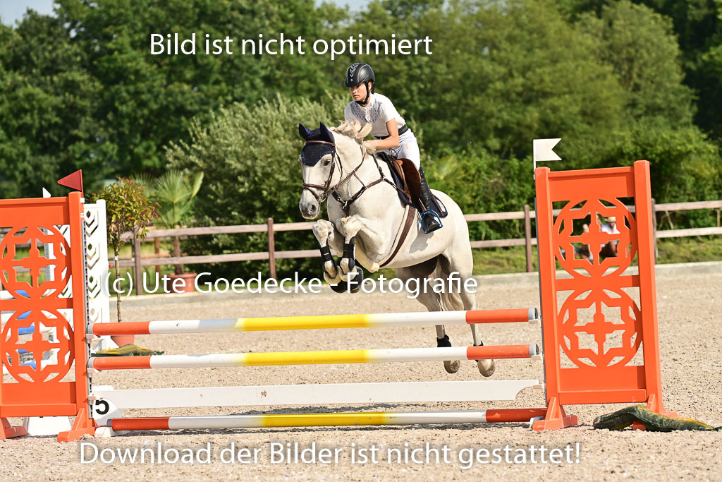 Klein Offenseth  - Hengststation Hell | 26072025 A Springen _169 