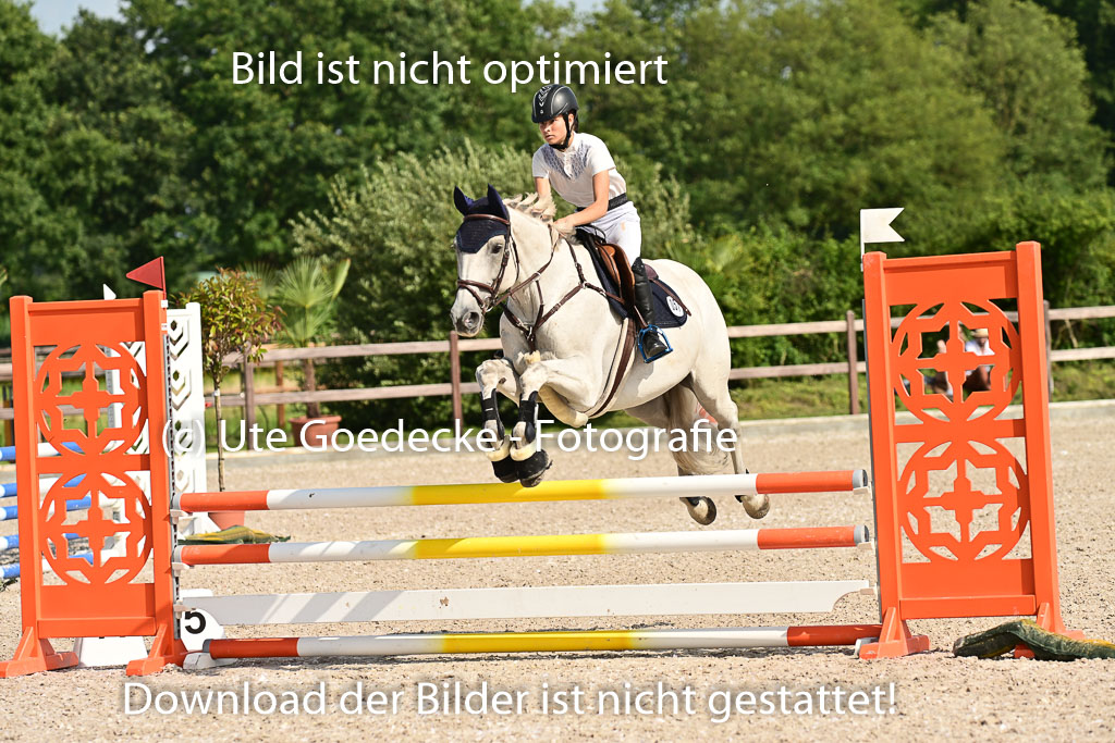 Klein Offenseth  - Hengststation Hell | 26072025 A Springen _170 