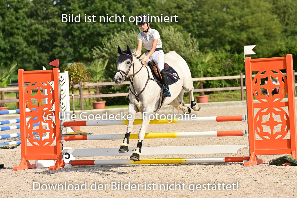 Klein Offenseth - Hengststation Hell | 26072025 A Springen _171